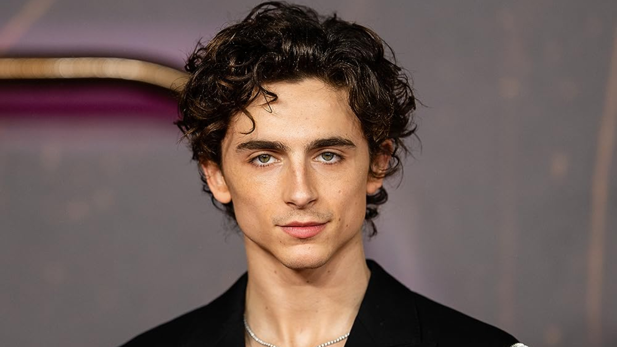 Timothee Chalamet set to join filmmaker Josh Safide's next directorial venture