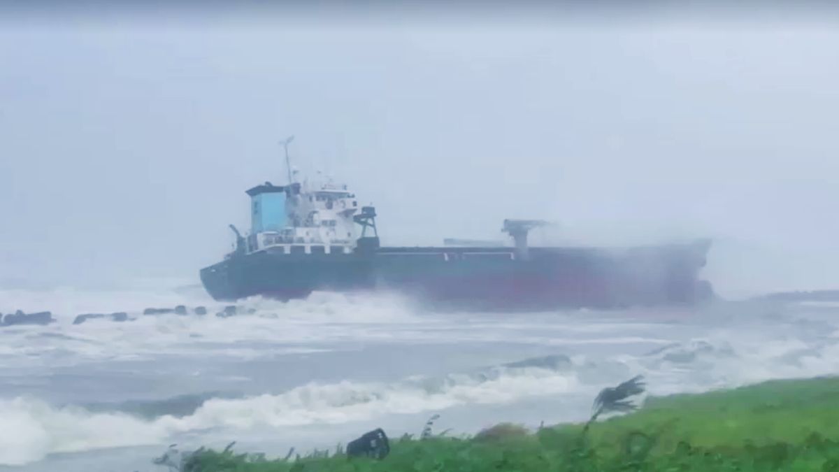 Chinese, Tanzania-flagged cargo ships sink in Typhoon Gaemi, 9 Myanmar nationals missing in Taiwan | VIDEO