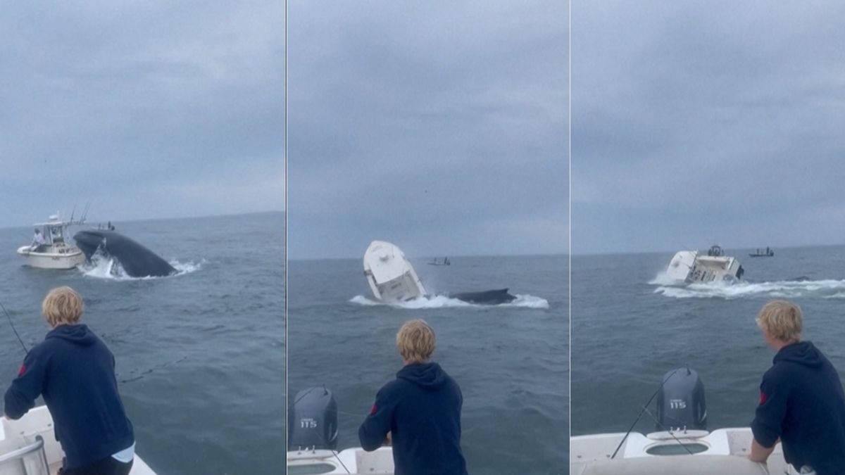 WATCH: Whale overturns fishing boat off New Hampshire coast | Horrific attack video surfaces