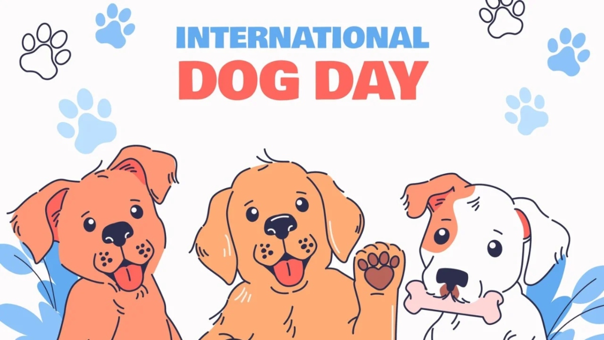 International Dog Day 2024 5 pawsome ways to shower love on your furry friends India TV