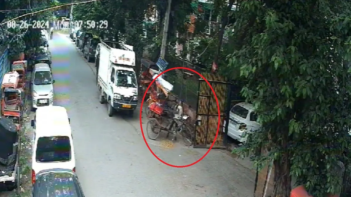 Grab from the CCTV footage