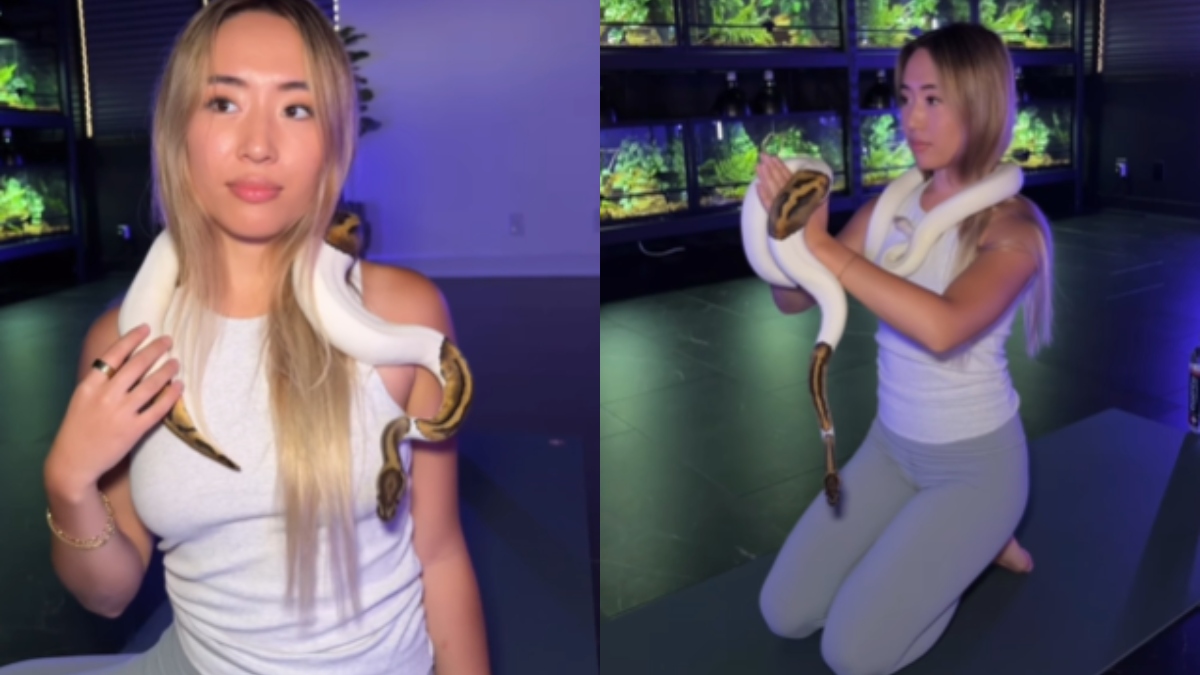 'This is animal abuse': A video of women performing yoga with ball python sparks outrage on internet