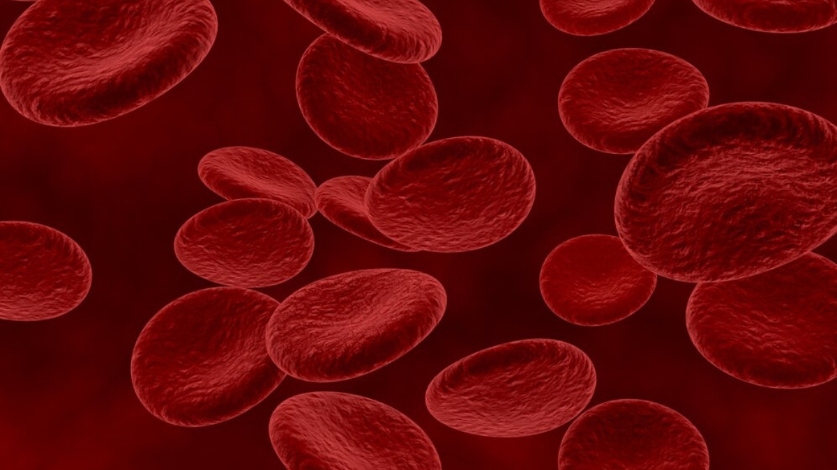 What happens when TLC count increases in blood? Recognise the early symptoms to stay away from