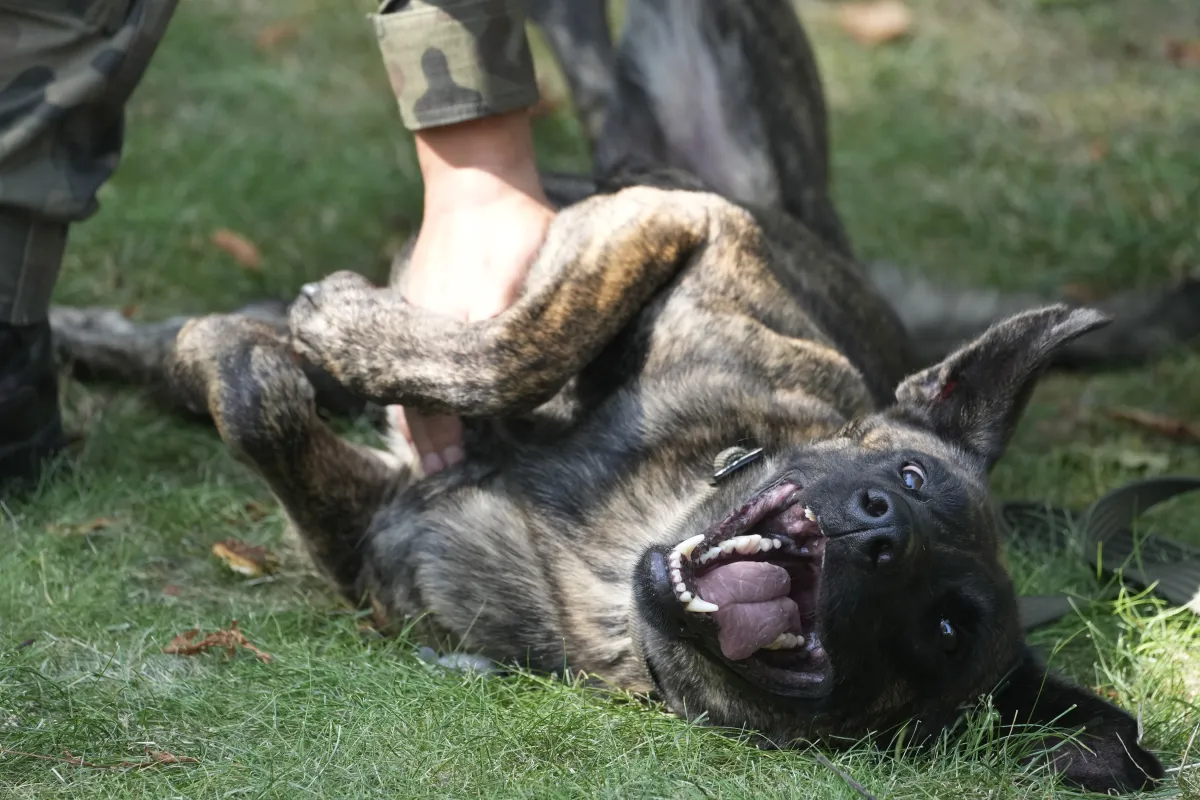 Image for representational purpose only