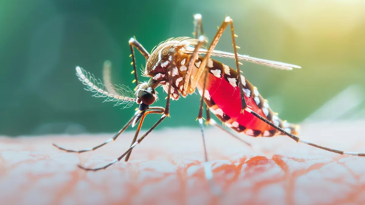 Dengue patients vomiting black in Bihar for paracetamol overdose. 