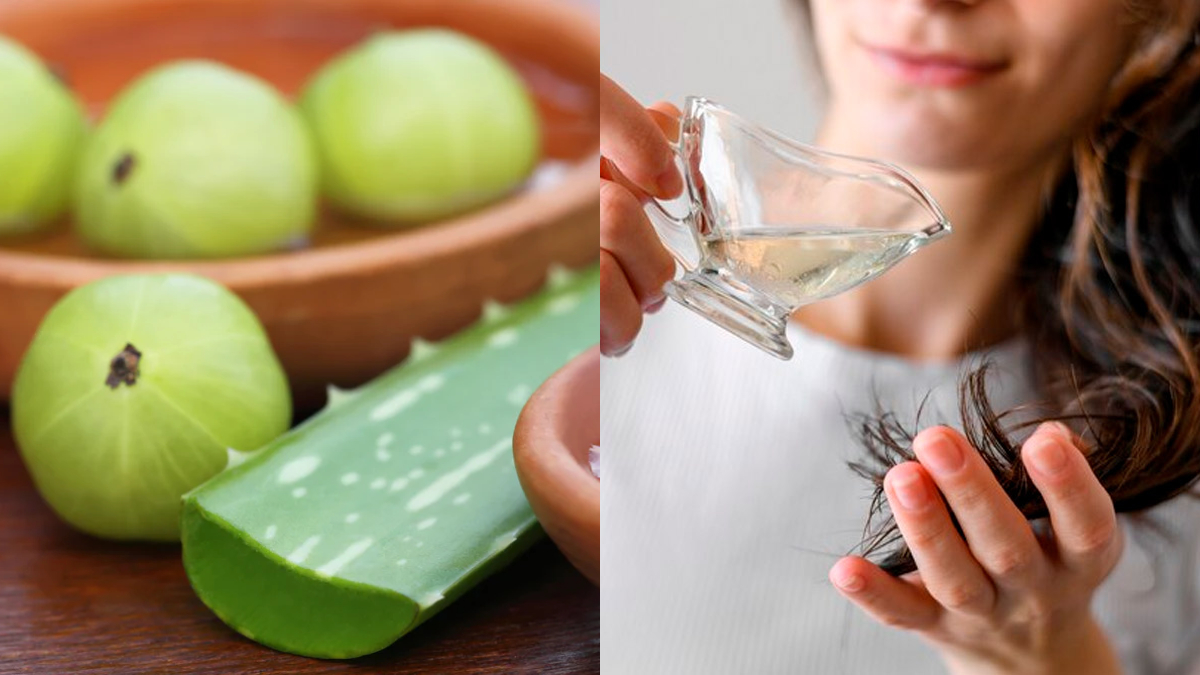 Aloe Vera vs Amla: Which Is better for healthy, strong hair?