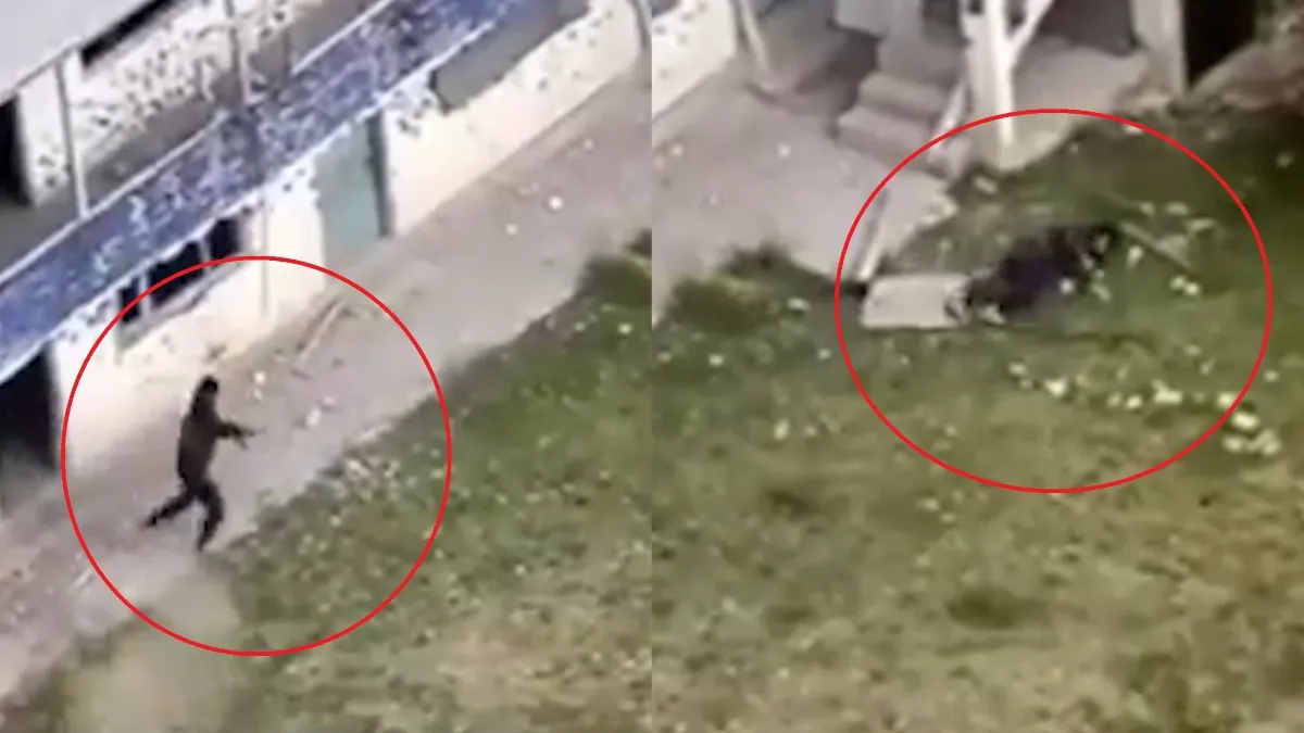 Visuals from the drone footage