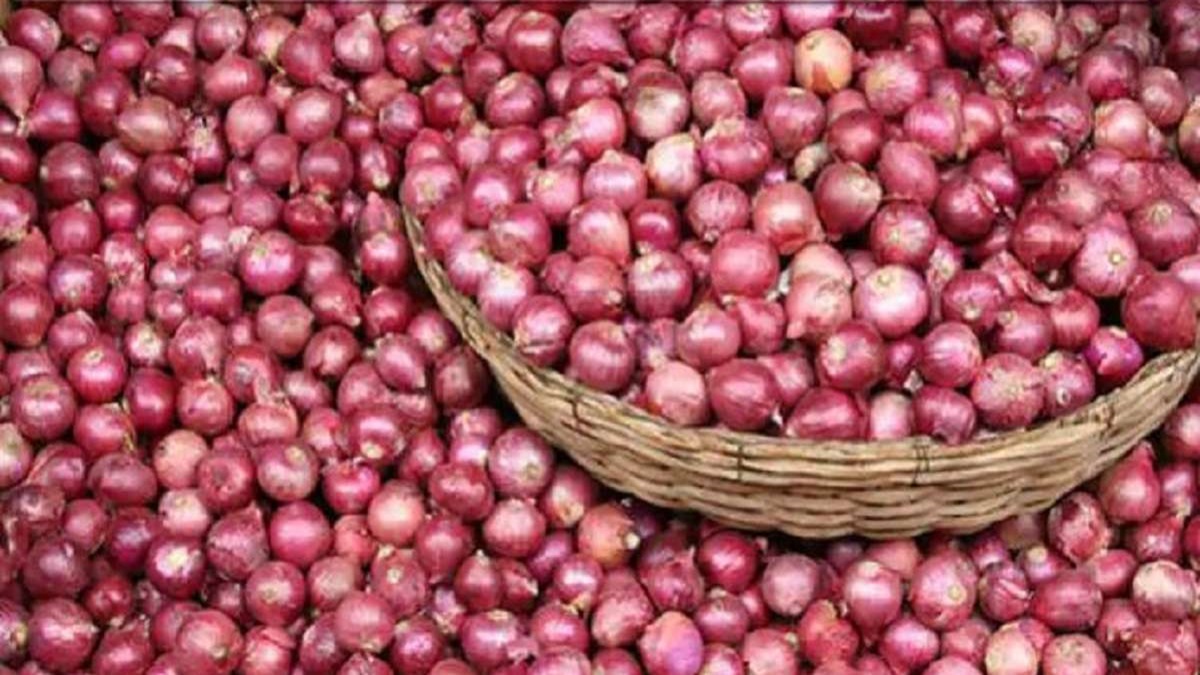 Onions to be sold at Rs 35 per kg in DelhiNCR from today in huge