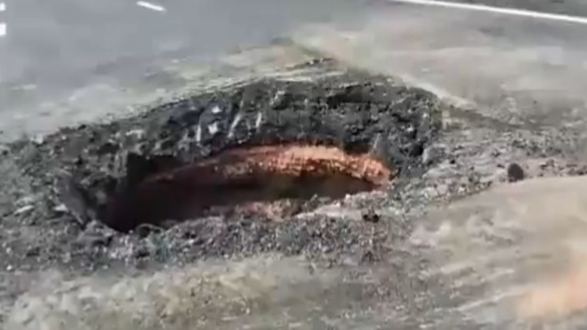 Construction firm fires employee for blaming rats for hole in Delhi-Mumbai expressway