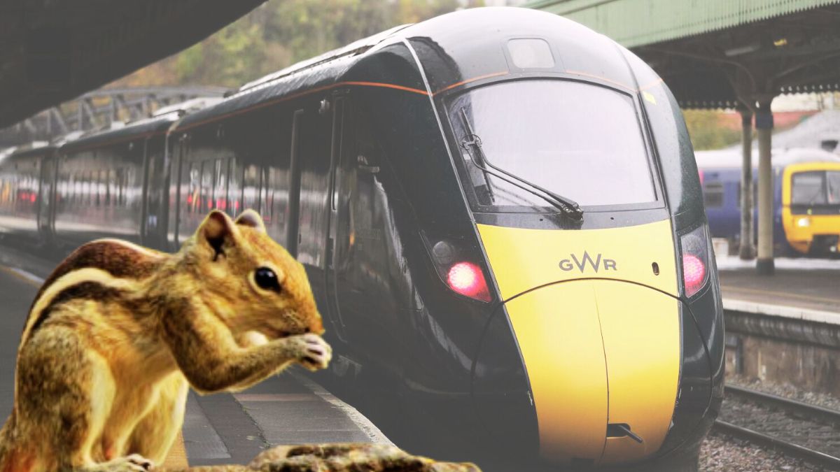 UK: Train cancelled after two squirrels board and one 'refuses to leave'