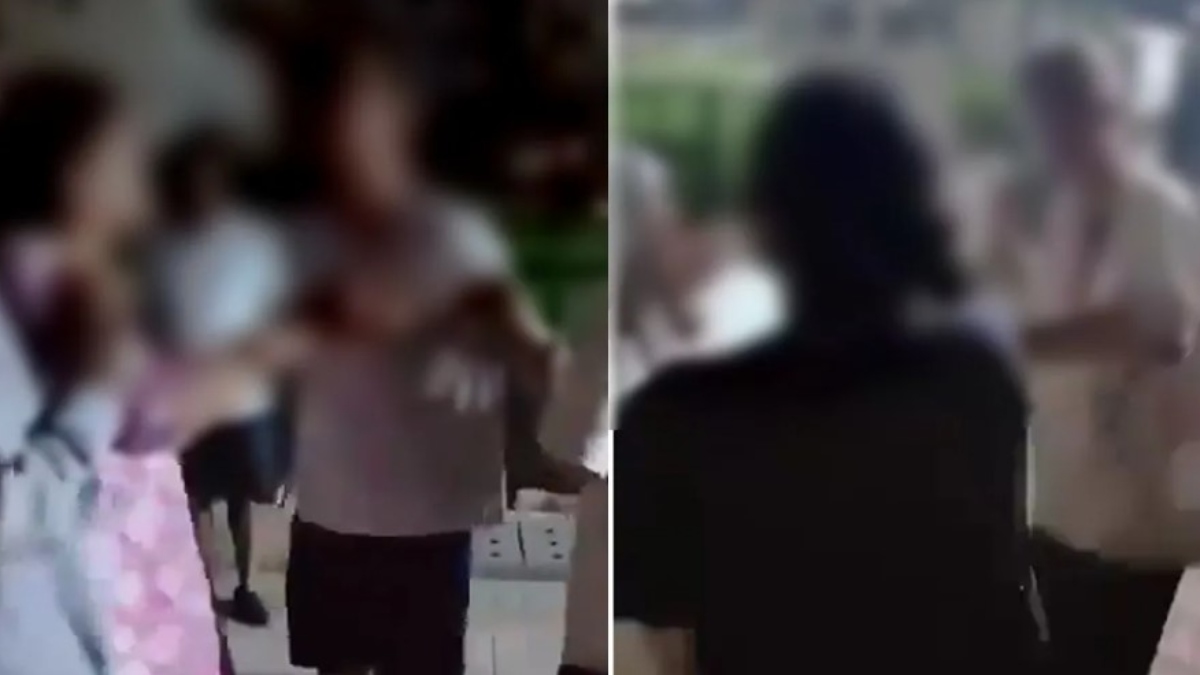 Viral Video Sparks Outrage in Noida: Two Women Assault Elderly Couple Over Pet Dispute