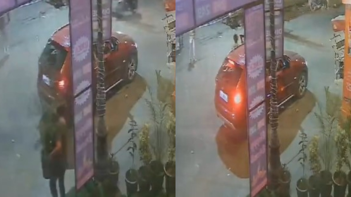 BMW Bandit: Viral Video Shows Woman Stealing Planter in Noida