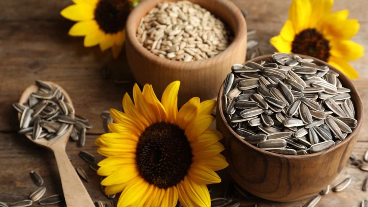 Sunflower seeds can bring life to dry and lifeless hair, know benefits and ways to use India TV