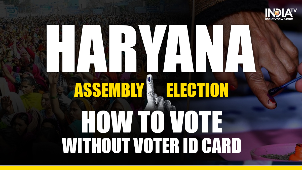 Haryana Assembly Election 2024 Don't have a voter ID card? You can