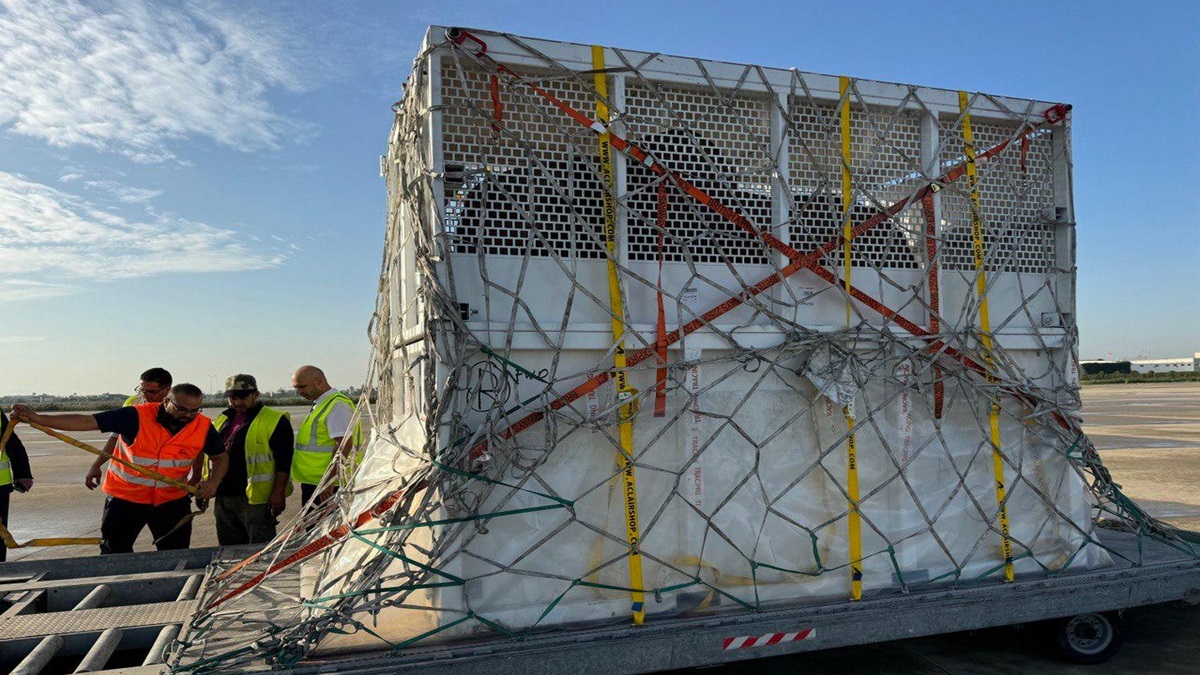 Vantara Welcomes Three African Elephants from Tunisia for a New Life of Care