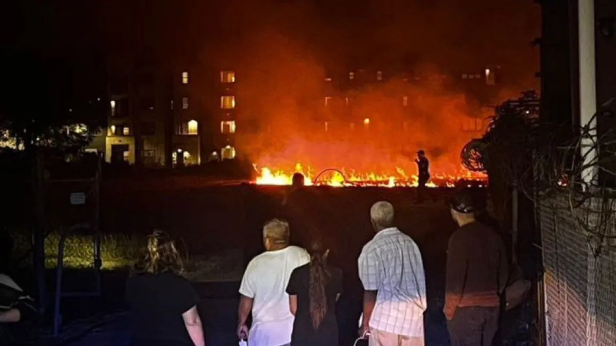 US 4 killed as helicopter crashes into Houston radio tower, chilling