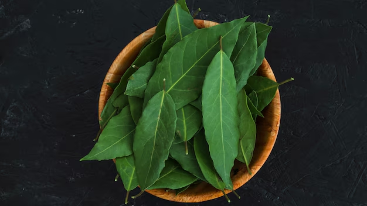 Is chewing raw curry leaves good for your skin and health? Know in detail