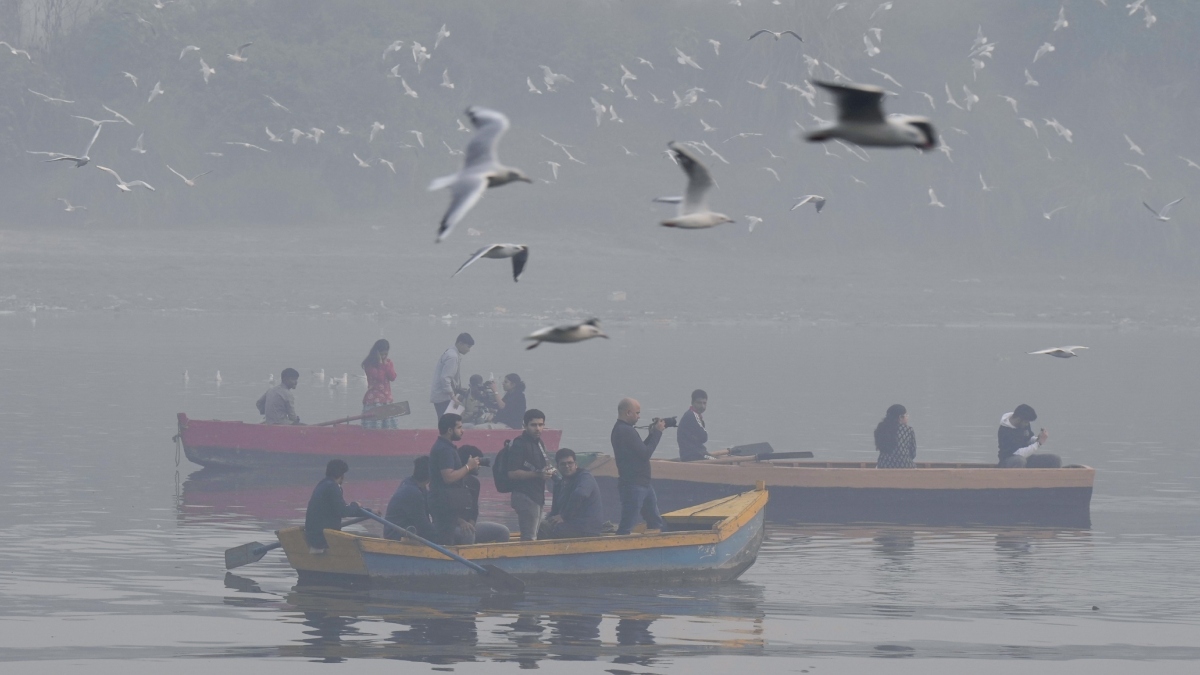 Delhi air pollution worsens: AQI hits season's worst at 481, GRAP-IV restrictions imposed