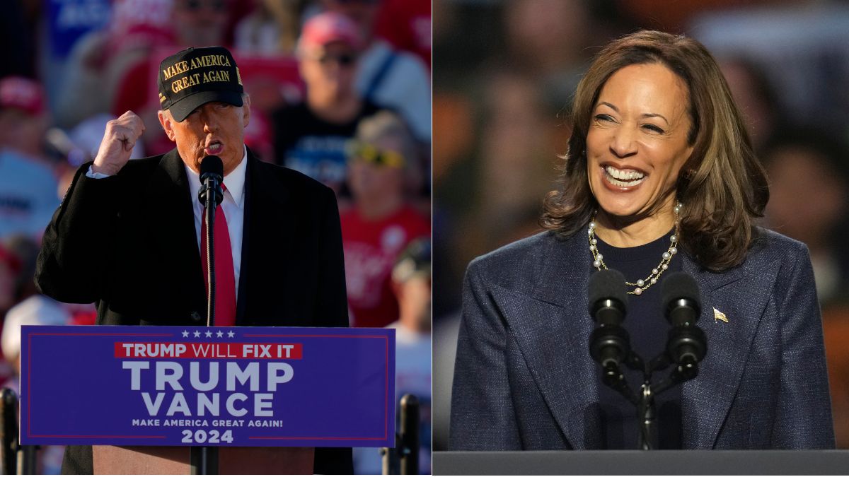 US Elections 2024 Key strategies for Kamala Harris and Donald Trump to