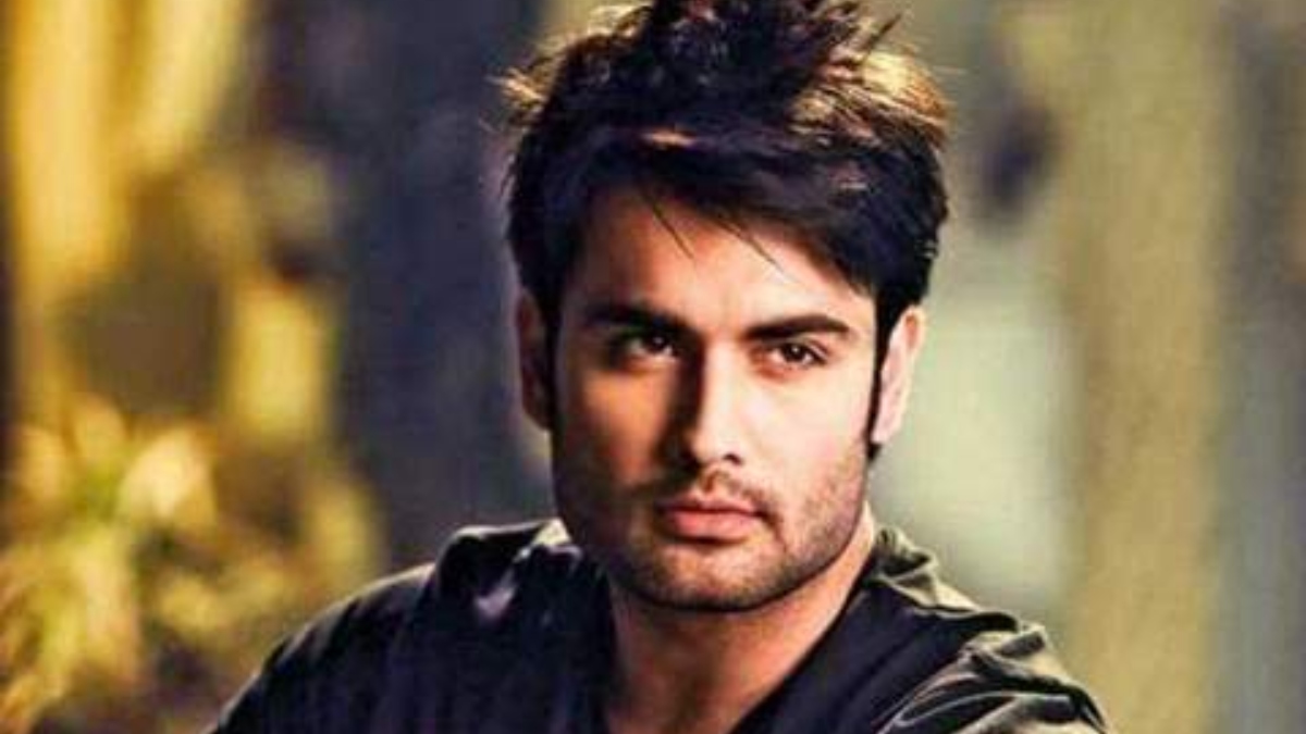 Vivian Dsena makes big revelation in Bigg Boss 18 about his children | Deets Inside