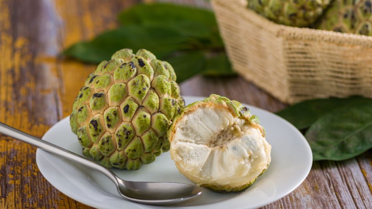 Eating Custard apple improves eyesight, digestion; know other benefits and ways to add Sitafal in your diet