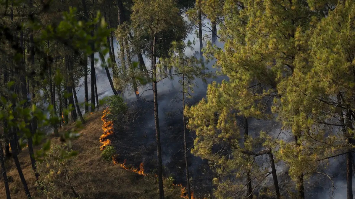 J-K: Forest fire triggers landmine explosions along LoC in Poonch