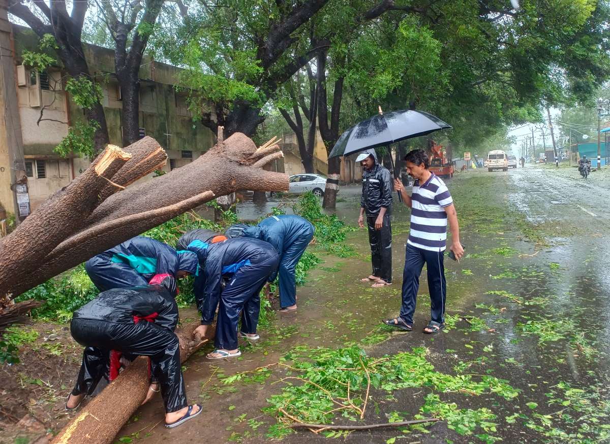 Weather update: IMD predicts heavy rains for Tamil Nadu tomorrow, yellow alert issued