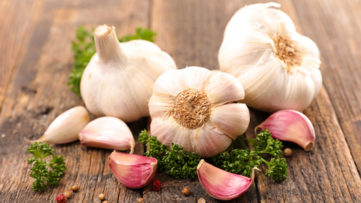 Consuming Raw Garlic is beneficial for uric acid, high cholesterol; know when and how much to eat