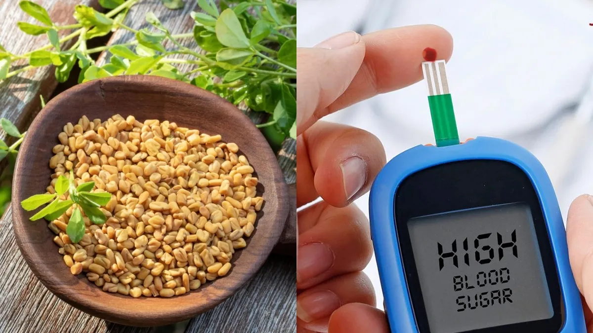 Fenugreek seeds are beneficial in controlling diabetes