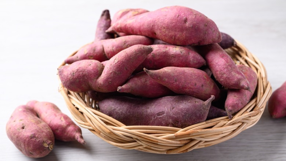 Is sweet potato cold or hot? Know how this winter superfood is beneficial for health, right time to eat