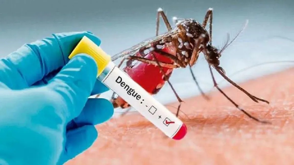 Delhi records three more dengue deaths, count rises to eight this year