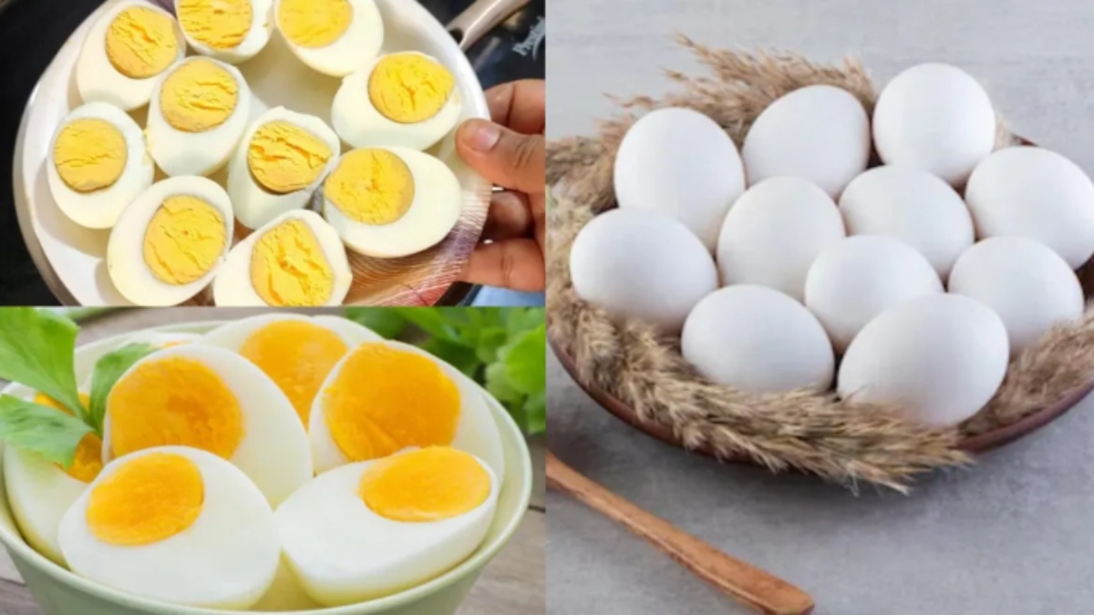 Want to increase vitamin D intake during winter? Eat 2 eggs daily, know other benefits