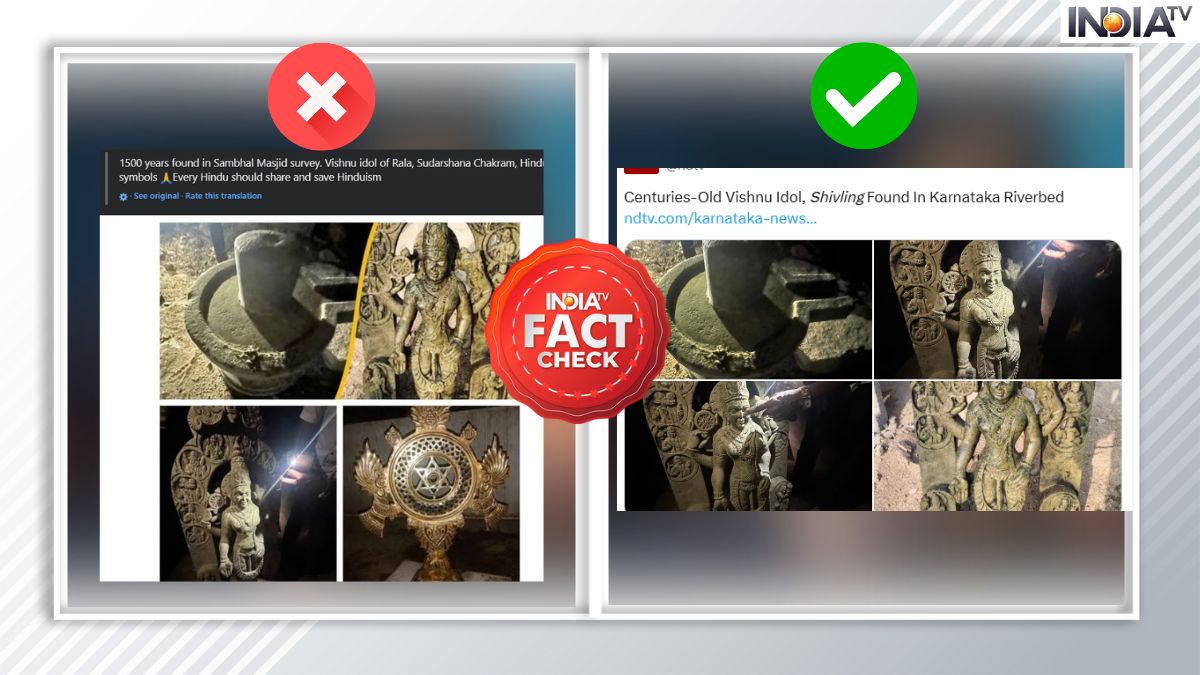 Fact Check: Vishnu statue, Sudarshan Chakra found during survey of UP's Sambhal mosque? | Know truth