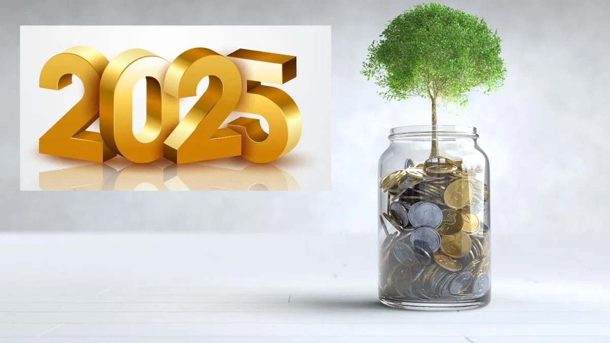 Investment in 2025: Where to put money to get maximum returns in new year? Check here