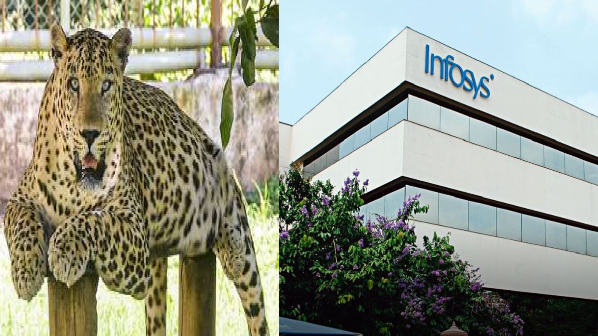 Infosys asks employees to work from home after leopard spotted in Mysuru campus