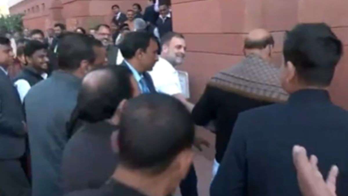 Rahul Gandhi, leading Congress protests, gives rose and Tiranga to Rajnath Singh: Watch