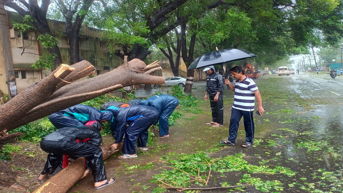 IMD issues heavy rainfall alert in Tamil Nadu, red alert for THIS state | Details