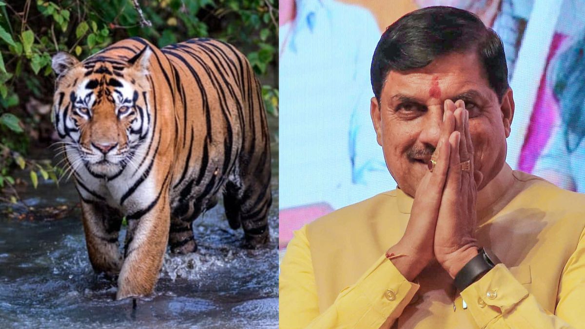 Madhya Pradesh CM Mohan Yadav inaugurates Ratapani Tiger Reserve in Raisen | Know all about it