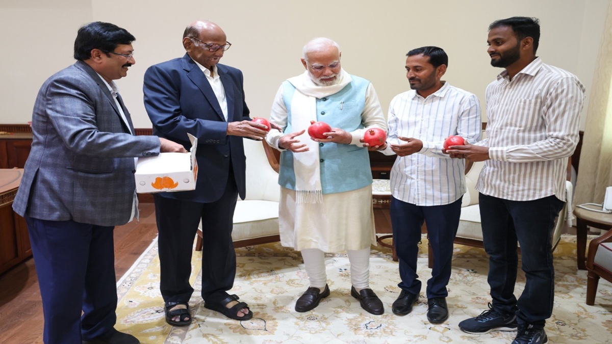 Sharad Pawar meets PM Modi in Parliament over pomegranate farmers' concerns