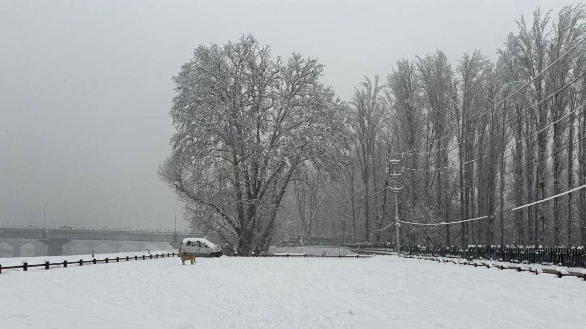 Flight services resume, Jammu-Srinagar Highway reopens after season’s first major snowfall | Check advisory