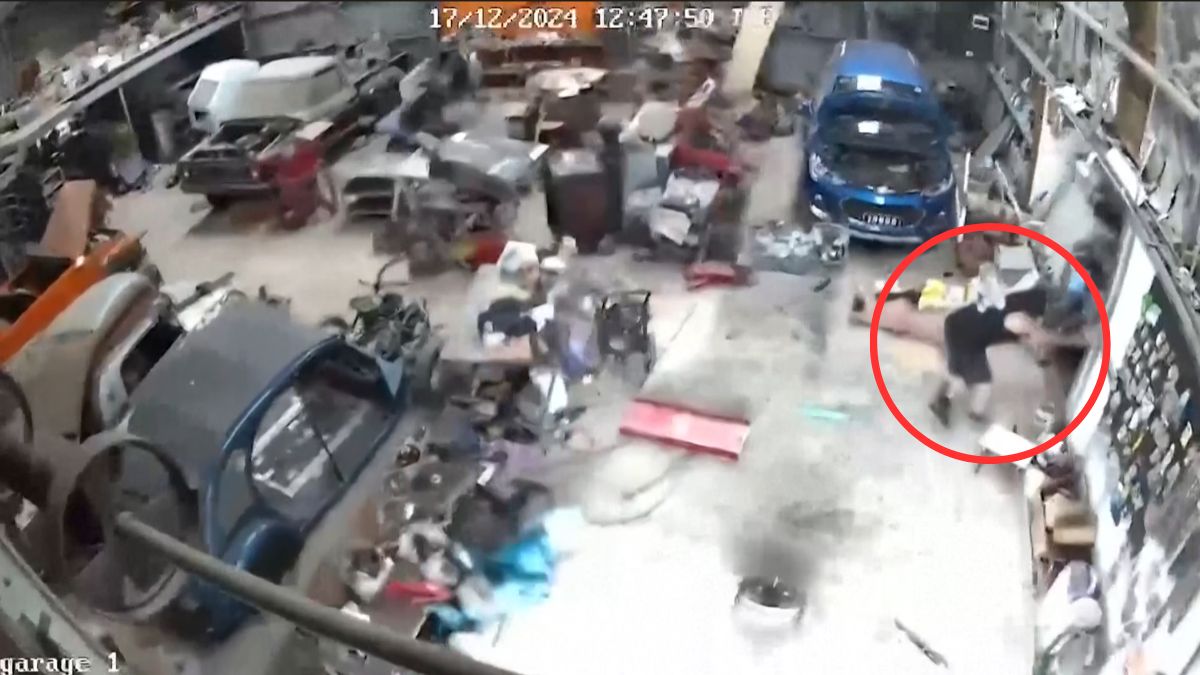 Vanuatu earthquake VIDEO: CCTV captures shocking moment when person and dog thrown by 7.3 magnitude quake