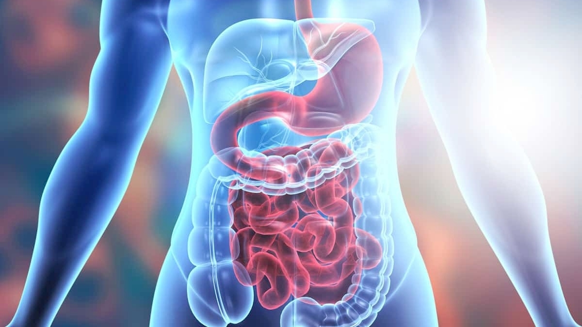 Say goodbye to stomach woes by consuming these foods, helps strengthen digestive system