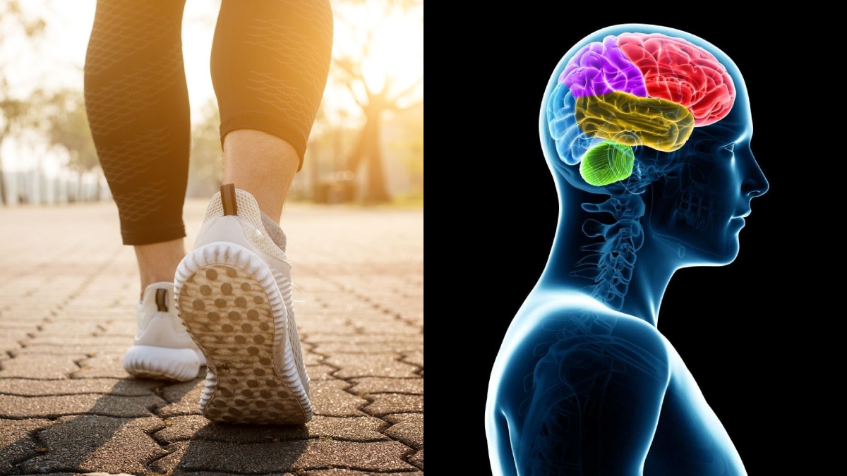 Does walking affect the brain? Know how this exercise is beneficial for a healthy brain