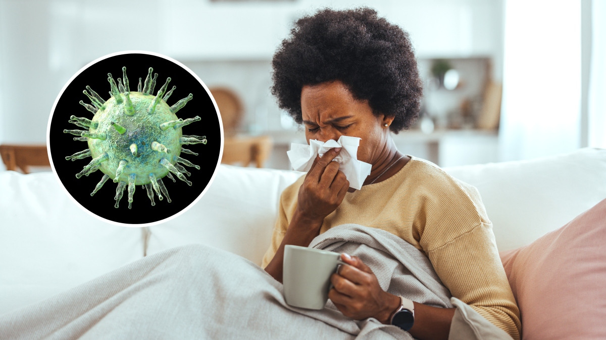 Afraid of getting diagnosed with HMPV? Here's how to protect yourself from this respiratory virus