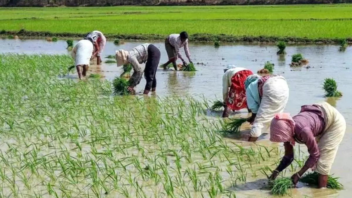 Telangana govt unveils Rythu Bharosa and Indiramma Atmiya Bharosa schemes for farmers