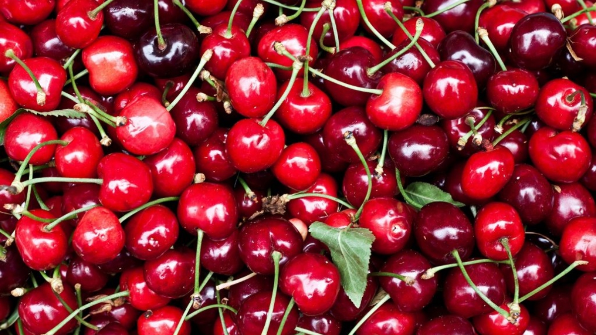 chilean cherries 5 reasons why this superfruit is a perfect treat for health conscious individuals