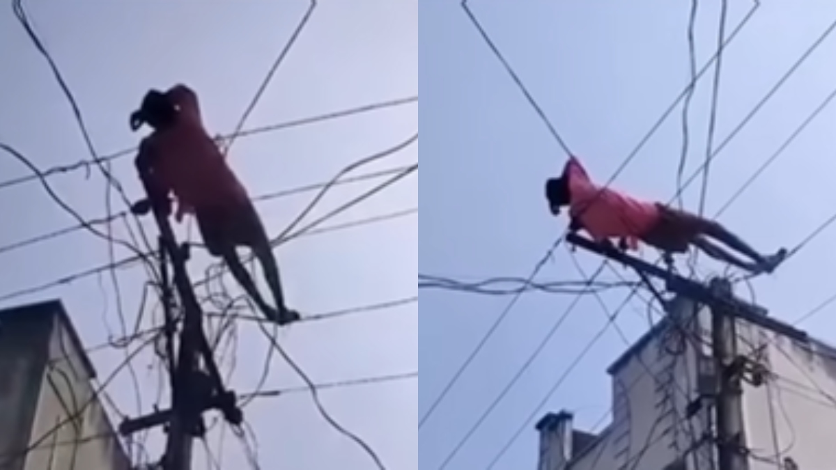 Viral video of drunk man sleeping on live wires on electric pole in Andhra leaves internet in splits | Watch