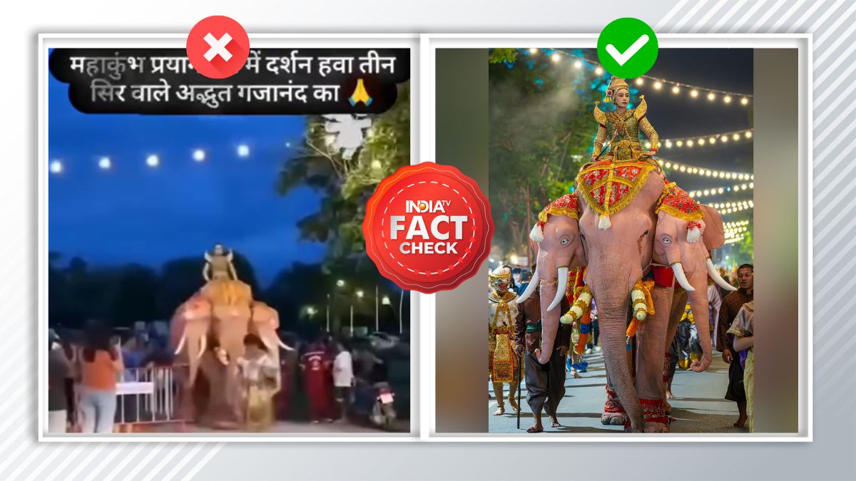 Fact Check: Three-headed elephant seen in Prayagraj amid Mahakumbh preparations? | Know truth of viral video