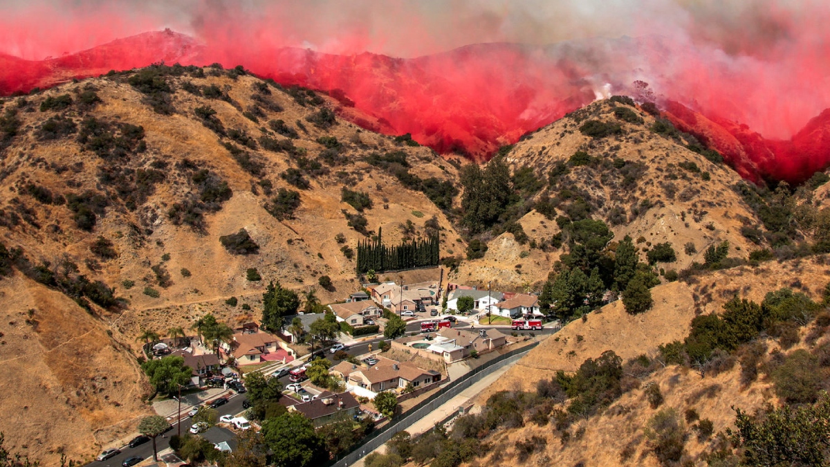 Los Angeles wildfire: Hollywood stars including James Woods, Mandy Moore forced to flee