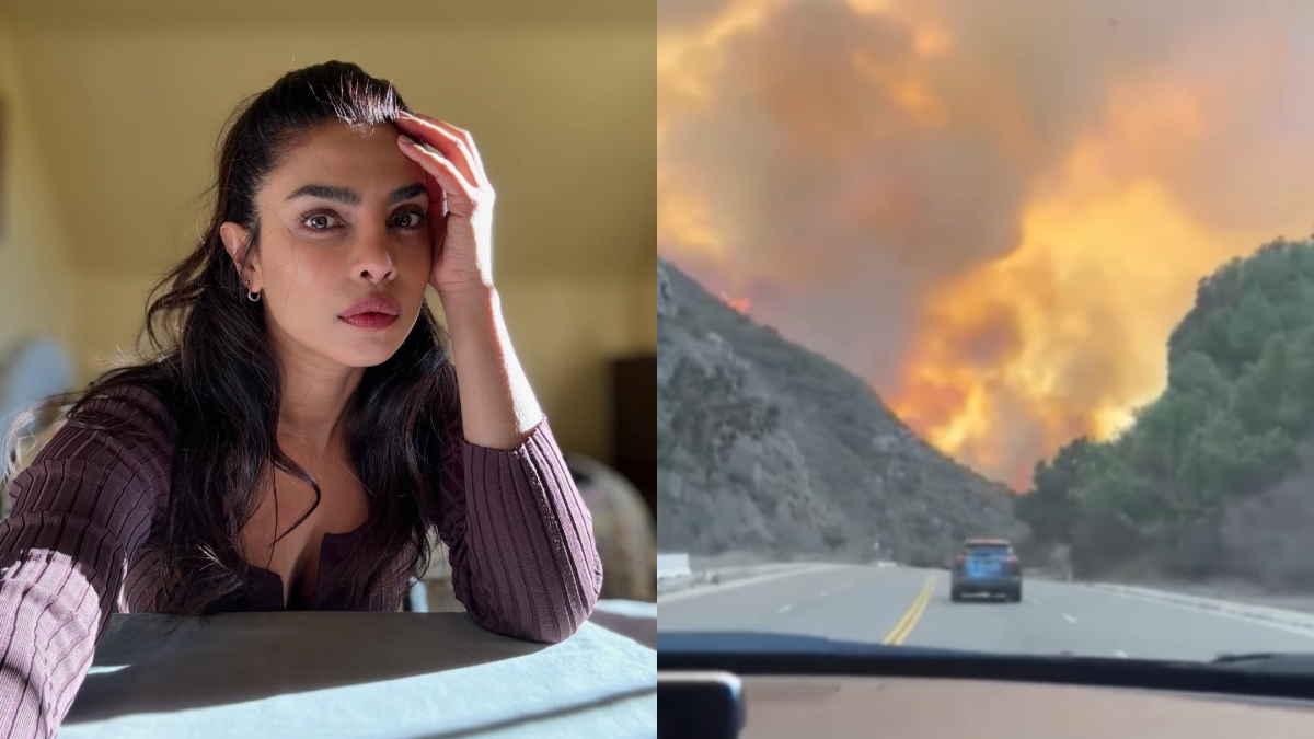 Priyanka Chopra reacts to Palisades fire in Los Angeles, says 'hope we're all able to be safe tonight'